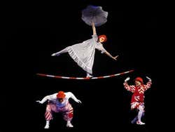 Aspects of Alice
